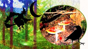 Die kleine Hexe @ Theater der 2 Ufer | Kehl | Baden-Württemberg | Deutschland